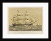 Clipper Ship 'Shannon' by Thomas Goldsworth Dutton