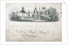 Neopolitan fighting ship dressed overall by Emeric