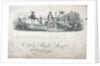 Neopolitan fighting ship dressed overall by Emeric
