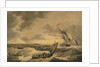 Loss of the Lady Hobart packet boat, also two lifeboat with survivors by John Thomas Serres