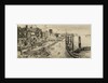 The last Chelsea Regatta by William Greaves