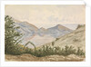 On the way to the Laguna, Valparaiso by Hamilton Williams