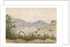 On the way to the Laguna, Valparaiso by Hamilton Williams