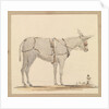 Study of a donkey with a bridle and harness by Robert Streatfeild