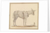 Study of a donkey with a bridle and harness by Robert Streatfeild
