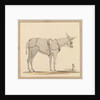 Study of a donkey with a bridle and harness by Robert Streatfeild