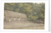 John Adam's house and grave Pitcairn's Island, Augt 12th 1849 by Edward Gennys Fanshawe