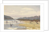 Lake of Acoleo [Aculeo], Chile, Jany 11th 1851 by Edward Gennys Fanshawe