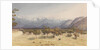 Two Leagues from Santa Rosa [Chile], Jany 14th 1851 [with the Andes and Aconcagua] by Edward Gennys Fanshawe