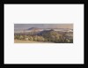 Moulmein [Burma] from one of the Pagodas on the hill behind the town, early morning, Feby 1846 by Edward Gennys Fanshawe