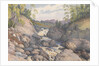 Rogie Falls, Rosshire, August 1883 [Scotland] by Edward Gennys Fanshawe