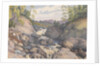 Rogie Falls, Rosshire, August 1883 [Scotland] by Edward Gennys Fanshawe