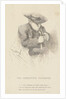 The Greenwich Pensioner by Unknown