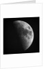 Astronomical glass plate slide of the Moon in first quarter (1899) by Unknown