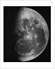 Astronomical glass plate slide of the Moon (1903) by Unknown