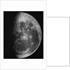 Astronomical glass plate slide of the Moon (1903) by Unknown