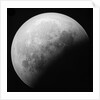 Astronomical glass plate slide of the Moon lunar eclipse (1910) by Unknown