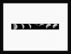 Glass lantern slide compilation of seven lunar eclipses by Unknown