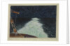 Display of Pyrosoma seen from the R.R.S. Discovery, Nov 11th 1925 by Sir Alister Hardy