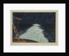 Display of Pyrosoma seen from the R.R.S. Discovery, Nov 11th 1925 by Sir Alister Hardy