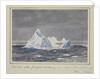 Iceberg with penguin rookery - near Bouvet Island, Nov 1926 by Sir Alister Hardy