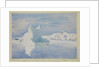 Mount Parry, Brabant Island, from Melchior Islands, Palmer Archipelago (unfinished sketch), March 1927 by Sir Alister Hardy