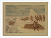 Polar Sketches. On the Northern March, April 8, 1876 by Dr Edward Lawton Moss (artist); Ward