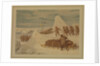 Polar Sketches. On the Northern March, April 8, 1876 by Dr Edward Lawton Moss (artist); Ward