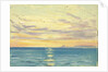 The North Pacific from the 'Umberleigh' by John Everett