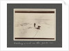 Catching a seal in the pack-ice from National Antarctic Expedition photo album by Sir Ernest Henry Shackleton