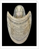 Nautilus shell by C. H. Wood