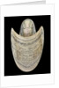 Nautilus shell by C. H. Wood