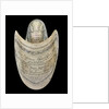 Nautilus shell by C. H. Wood