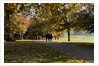 Autumnal image of the Royal Greenwich Park. by National Maritime Museum