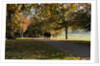 Autumnal image of the Royal Greenwich Park. by National Maritime Museum
