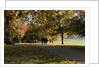 Autumnal image of the Royal Greenwich Park. by National Maritime Museum