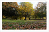 Autumnal image of the Royal Greenwich Park by National Maritime Museum