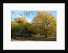 Autumnal image of the Royal Greenwich Park by National Maritime Museum