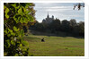 Autumnal image of the Royal Observatory Greenwich including, Flamsteed House, Peter Harrison Planetarium & Altazimuth building and the park by National Maritime Museum