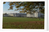 Autumnal image of the Queens House in Greenwich including views from in the park by National Maritime Museum