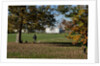 Autumnal image of the Queens House in Greenwich including views in the park. by National Maritime Museum