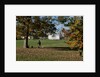 Autumnal image of the Queens House in Greenwich including views in the park. by National Maritime Museum