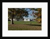 Autumnal image of the Queens House in Greenwich including views in the park. by National Maritime Museum