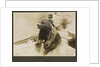 Photograph of the mascot bear cub 'Trotsky', on HMS 'Ajax' 1921. From an album relating to the naval career of Philip F. P. Blackwell, 1920-1922 by Philip F. P. Blackwell