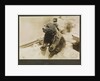 Photograph of the mascot bear cub 'Trotsky', on HMS 'Ajax' 1921. From an album relating to the naval career of Philip F. P. Blackwell, 1920-1922 by Philip F. P. Blackwell