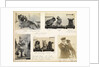 Cats and dogs 'Tzu, buff, Queenie and Gaby' July 1918, from an album relating to the career of Lt. Cdr. Herbert Allen Slade, RN, 1908-1918. by Lt. Cdr. Herbert Allen Slade