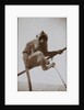 Photograph of a monkey, from an album relating to the naval service of Arthur Bedworth in the Merchant Navy as a radio officer by Arthur Bedworth