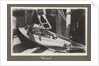 Service career of Lieutenant V. N. Surtees 1926-8 in HMS 'Emerald' (1920). 'Nelson' monkey in hammock, page 171 by Lieutenant V. N. Surtees