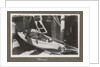 Service career of Lieutenant V. N. Surtees 1926-8 in HMS 'Emerald' (1920). 'Nelson' monkey in hammock, page 171 by Lieutenant V. N. Surtees