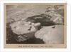 Skua Gulls on the breaking ice floes by Herbert George Ponting